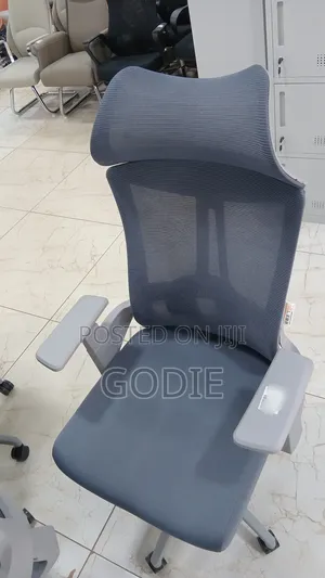 High-Back Ergonomic Office Chair a Breathable Mesh Back and a Headrest