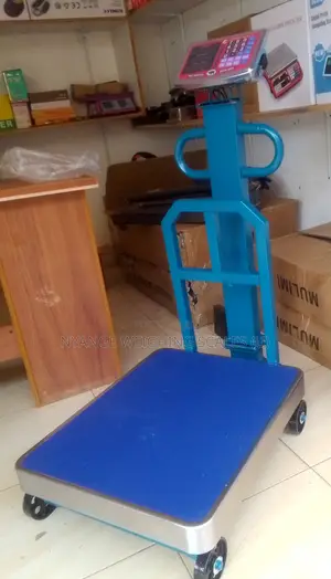 Industrial Weighing Scale 600kg Weigh Digital Platform Weighing Scale
