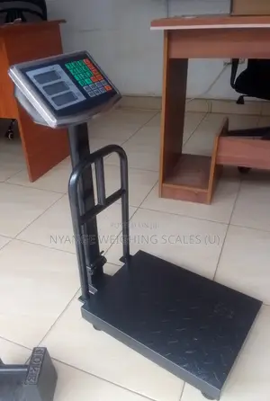 Store Keeping Weighing Scale Weigh 170kg Digital Weighing Scale