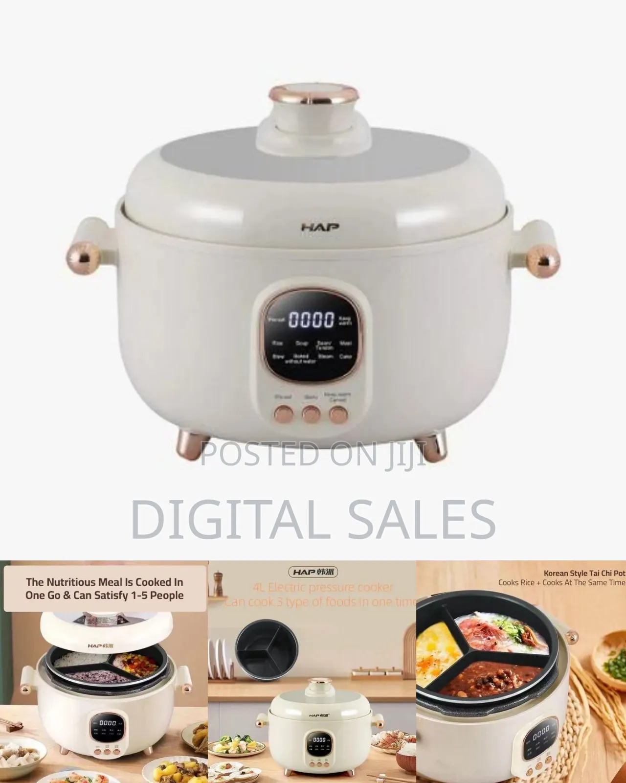 Elegant Multi-Functional Electric Cooker