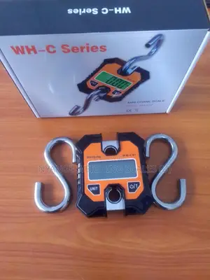Heavy Duty Hanging Weighing Scale 200kg Digital Hanging Weighing Scale