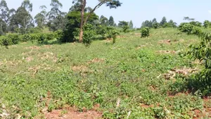 14 Acres of Land in Busunju Hoima Road