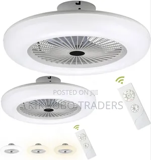 Ceiling Fan With Lighting and Remote Control