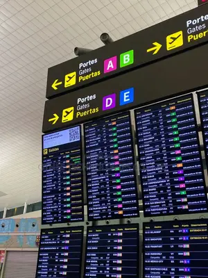 Airport Flight Information Displays (Fids)