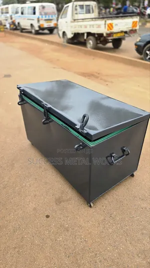 Storage Trunks (Suitcases)