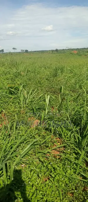 Farmland for Sale in Kakooga