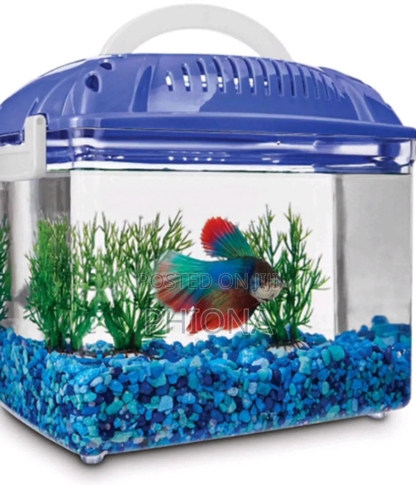 Mini Electric Fish Aquarium