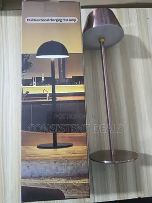 Multifunctional  Touch Bedside  Table Lamp