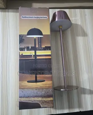 Multifunctional  Touch Bedside  Table Lamp