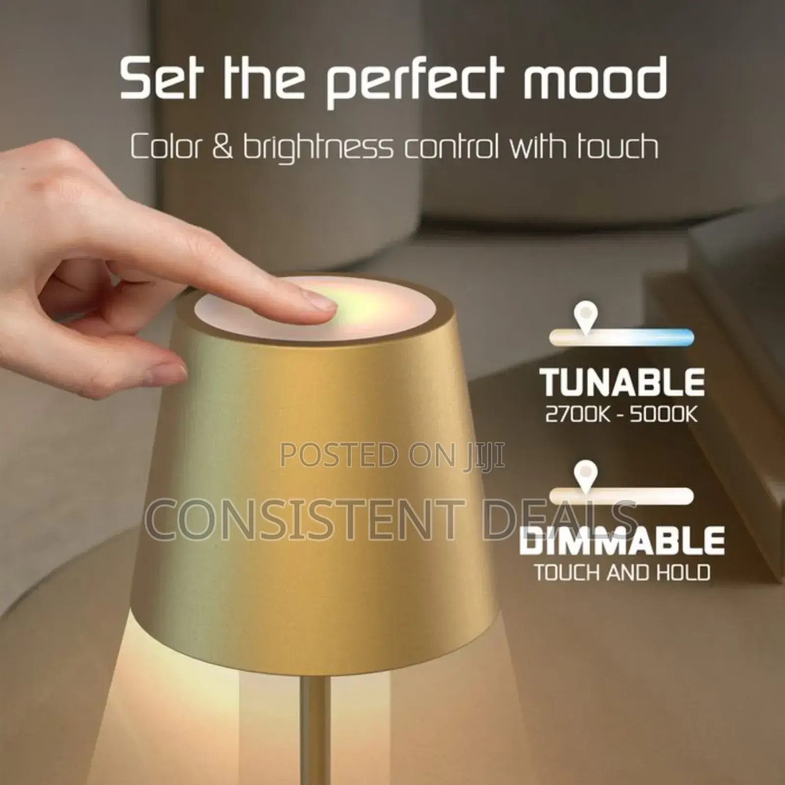 Dimmable  Touch Bedside Table Lamp