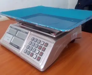 Digital Weighing Scale Daily Use 60kg Weigh Digital Weighing Scale