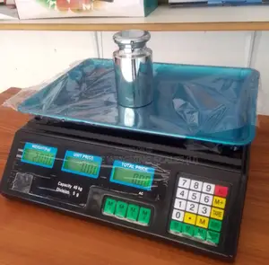 Weighing Scale 40kg Warehouse Storage Weigh Digital Weighing Scale