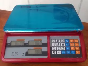 40kg Weigh Digital Electronic Weighing Scale Digital Weighing Scale