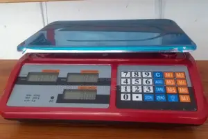 Digital Weighing Scale 40kg Computing Weigh Digital Weighing Scale