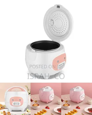 Elegant Compact Electric Rice Cooker With Steam Function