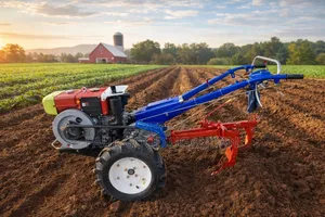 Walking Tractor (10hp)