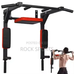 Pull Up Bar Wall Mounted