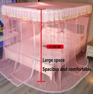 Pink Two Stand Mosquito Net 5x6 and 6x6