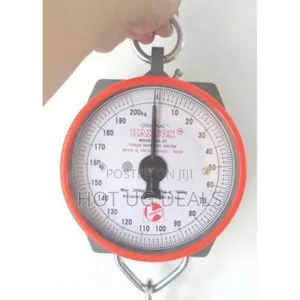 Crane Weighing Scale 200kg - Red