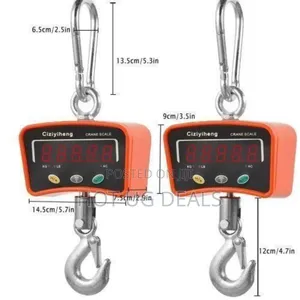 500kg Rechargeable Hanging Crane Weighing Scale