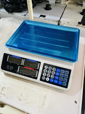 Perfect Measures / Digital Weighing Scale