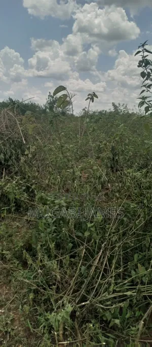 Farmland for Sale in Nakasongola
