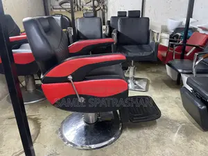 Salon Barber Chair Mixed Color