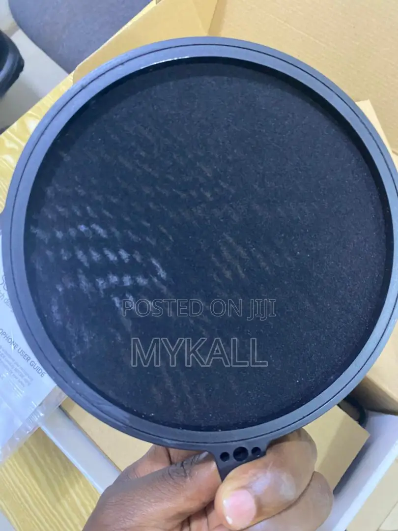 Sontronics Microphone
