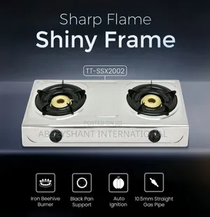Stainless Steel 2-Burner Gas Stove