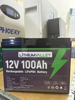 Lithium Valley 100ah 12v Solar Lithium Battery