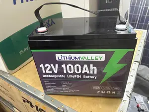 12v 100ah Lithium Valley Lifepo4 Battery