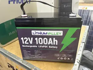 Lithium Valley 12v 100ah Backup Power Battery