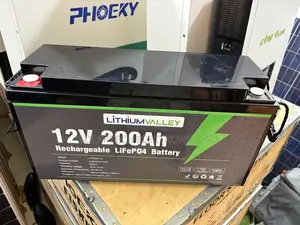 Lithium Valley 200ah 12v 2.56kwh Solar Battery