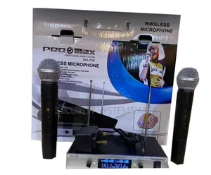 Pro Max Professional Wireless Microphone- Dh755