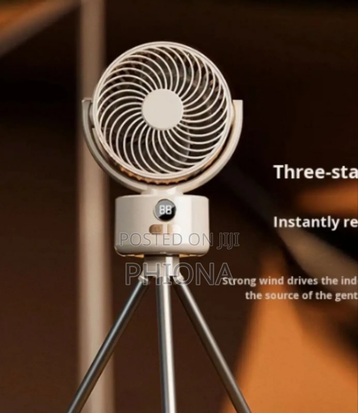 Portable Camping Fan