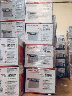 33 Speed Pantum Laser Printer