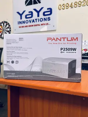 Pantum P2509w 22ppm Mono Printer