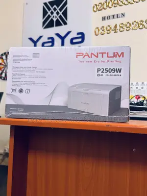 Printer Pantum Laser P2509w Mono (P2509w)