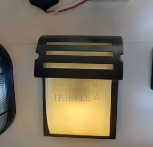 Wall Security Light