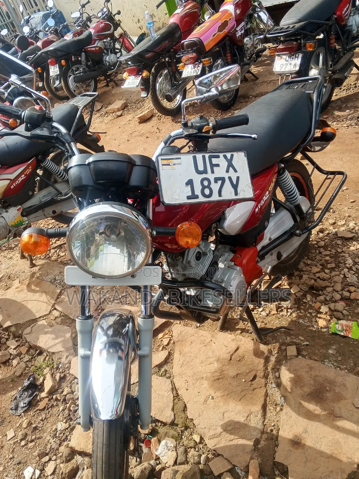 TVS HLX 125 2023 Red