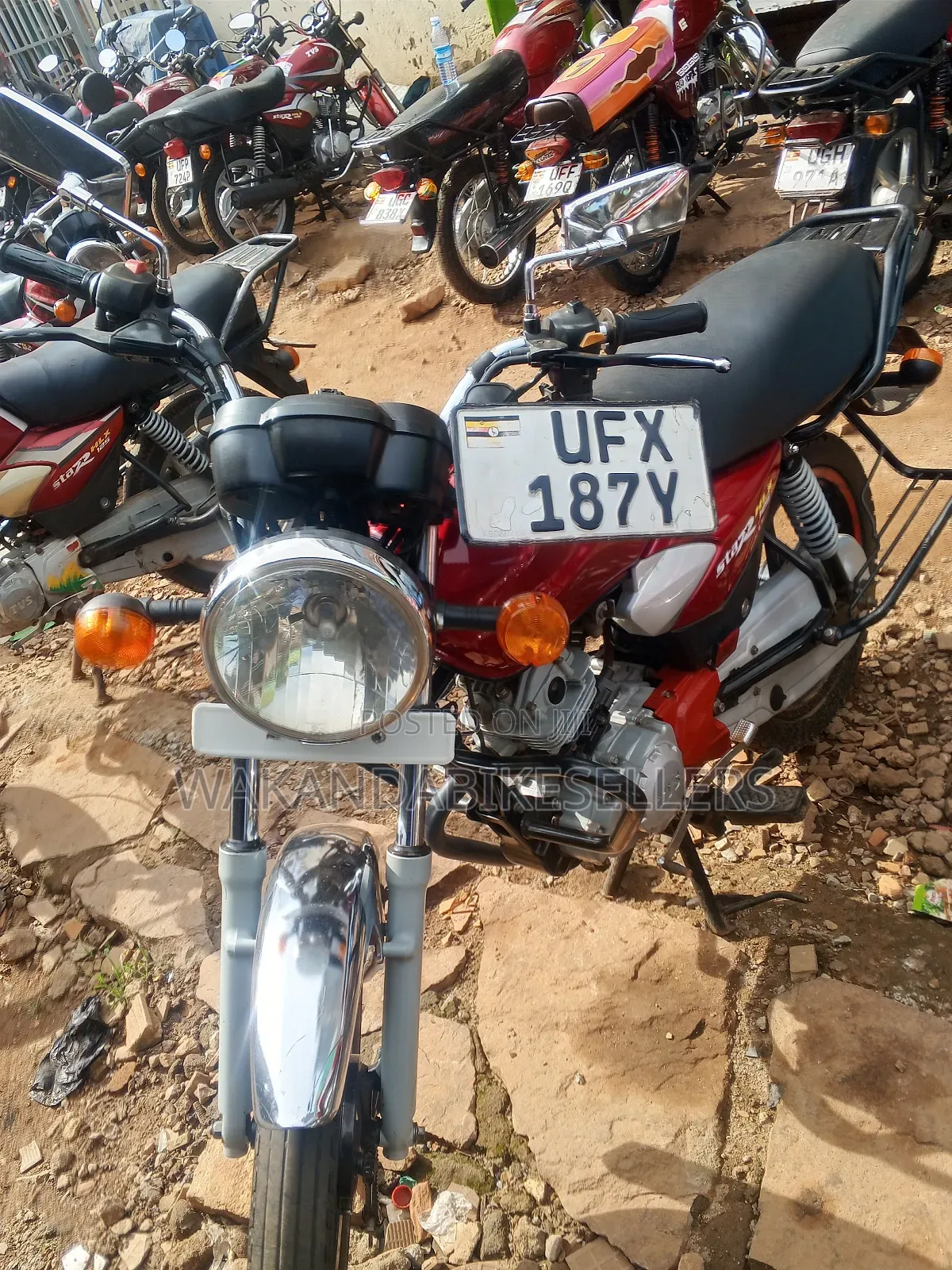 TVS HLX 125 2023 Red