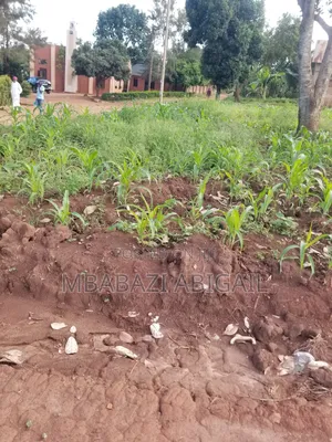 Land and Plots 50×100