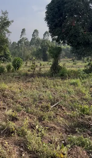 Farm Land Available