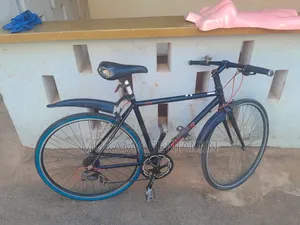 Bicycle 28