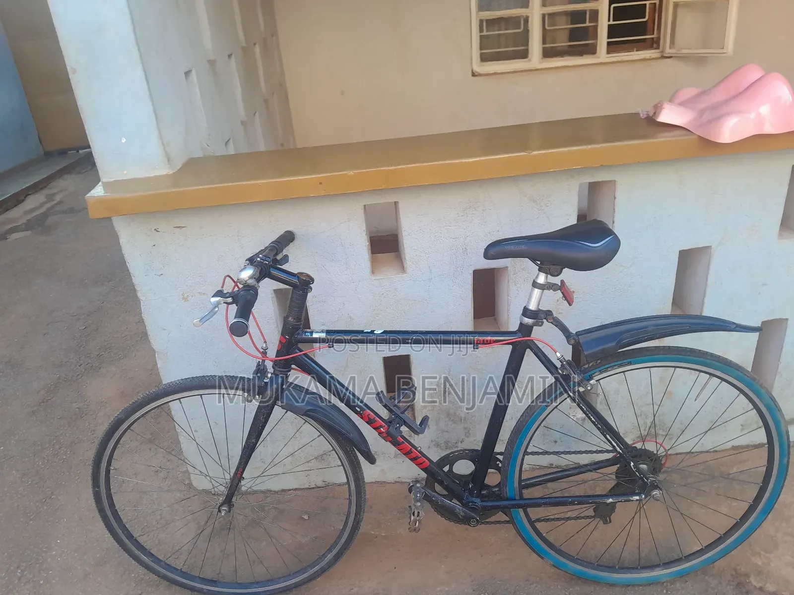 Bicycle 28