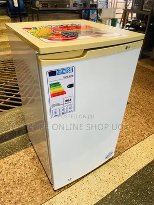 Imported Used Lg Original Fridge in Good Condition