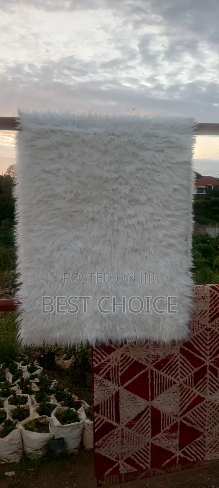 Expert Carpet Cleaning Services for Pure Comfort