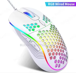 Professional Mouse