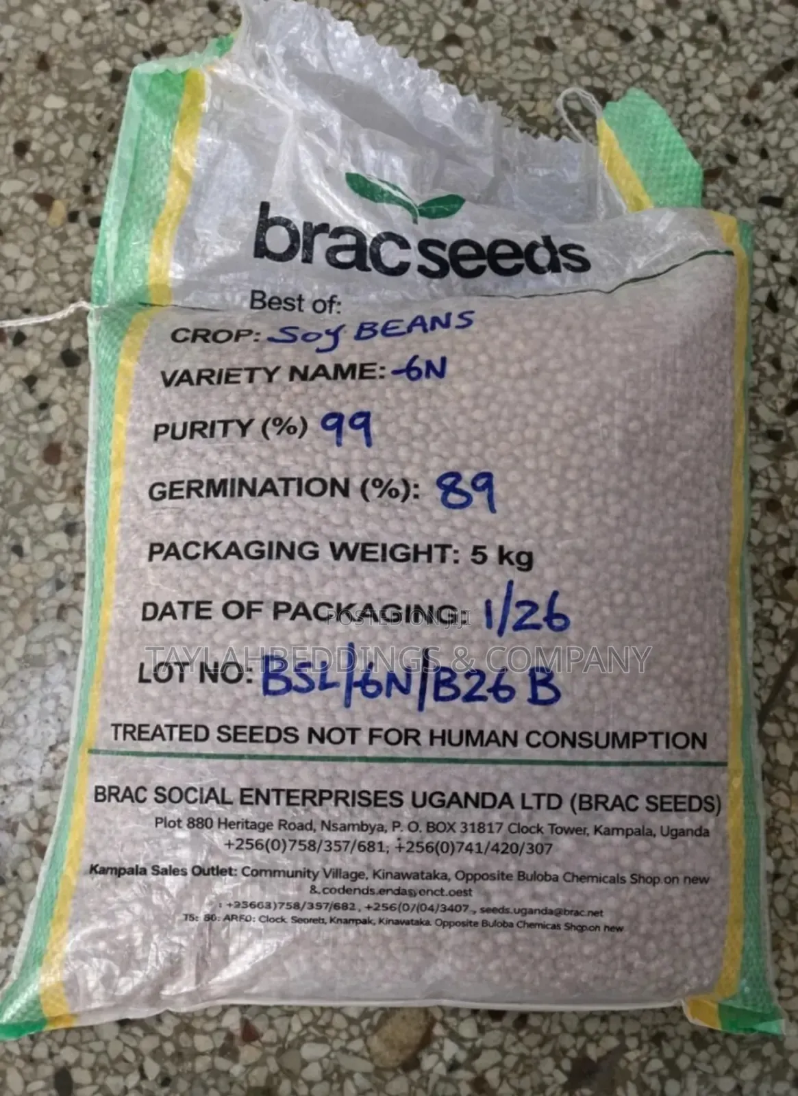 Soybeans N6 Barac Seeds 5kg