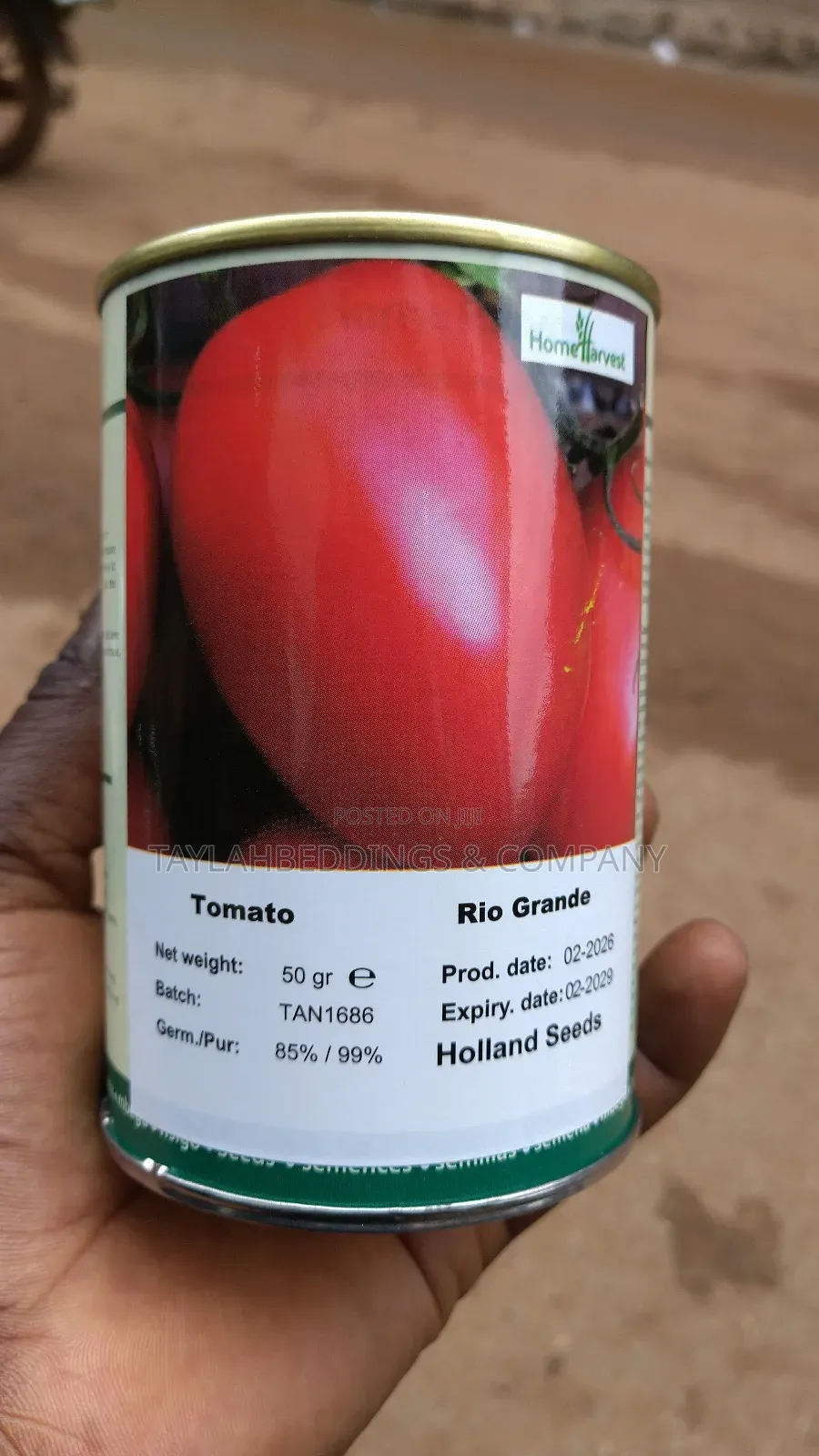 Holland Tomato Seeds 50g